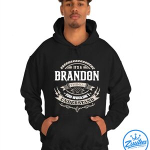 If At First You Don't Successd Try Doing What Brandon Told You To Do The First Time Shirt