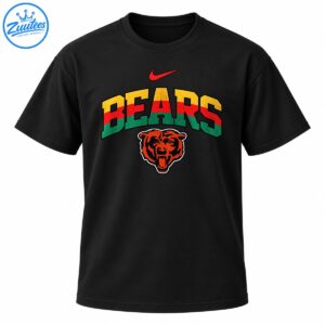 Chicago Bears graphic with distressed gold, red, and green BEARS lettering, a red swoosh, and an orange bear head
