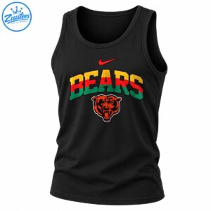 Chicago Bears graphic with distressed gold, red, and green BEARS lettering, a red swoosh, and an orange bear head