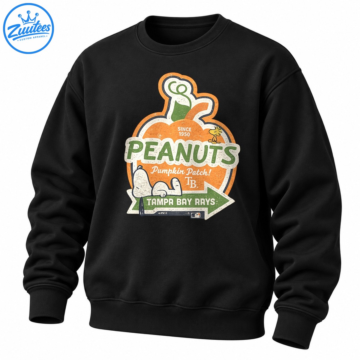 Tampa Bay Rays Peanuts Pumpkin Patch Vintage Sweatshirt